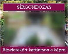 Sírgondozás